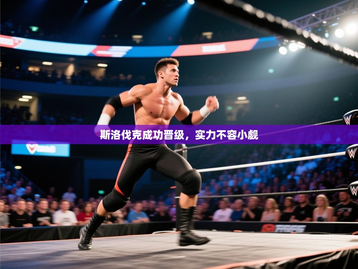 斯洛伐克成功晋级，实力不容小觑  第2张